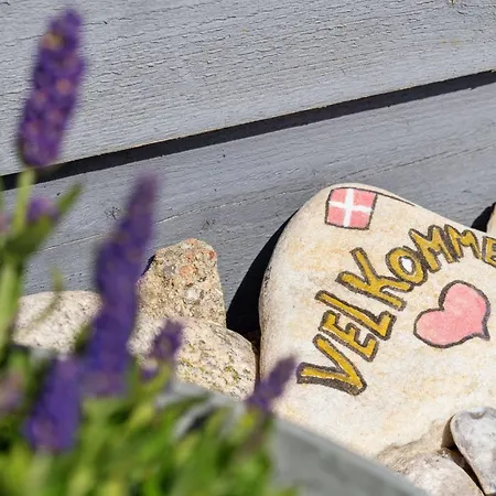 Edzard - 800m From The Sea By Interhome * Nedre Lysabild